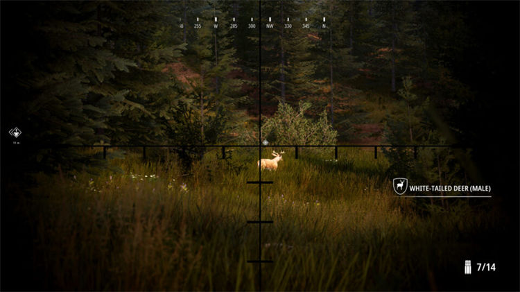 模拟狩猎2学习版